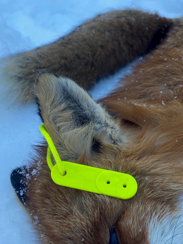 CLAUSEN PREDATORCALL 5 MUSEPIP 