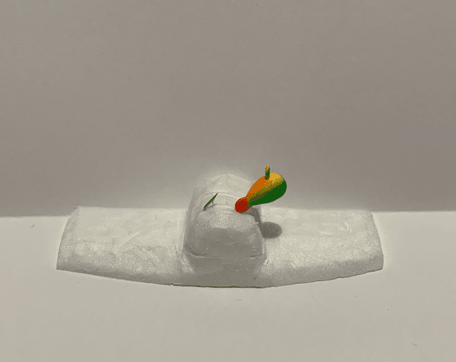 Hovedbilde 2-PAKK WOLFRAM PAPEGØYE