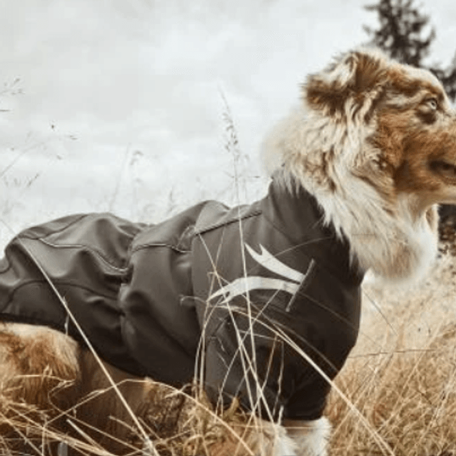 Hovedbilde HURTTA FROST DEKKEN GRÅ