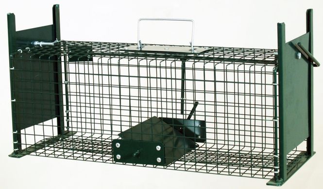 Hovedbilde MINK/ROTTE/RØYSKATTFELLE