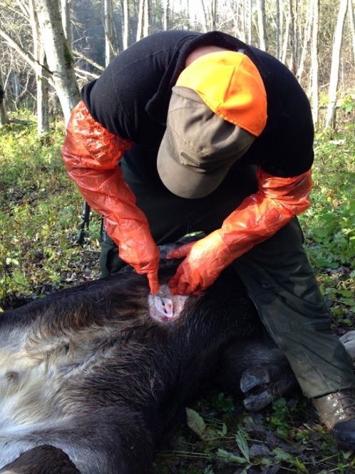 Hovedbilde SLAKTEHANSKE-PAKKE