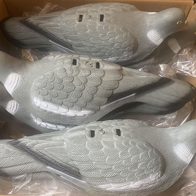 Hovedbilde 36 PK RINGDUESKALL 