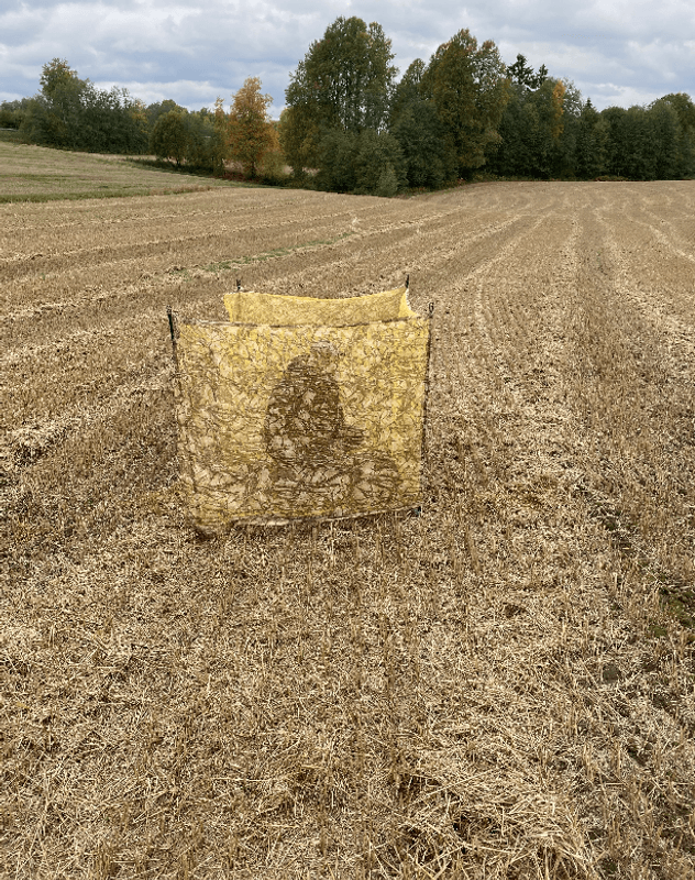 BRUNST KAMONETT GHOST ÅKER/SIV